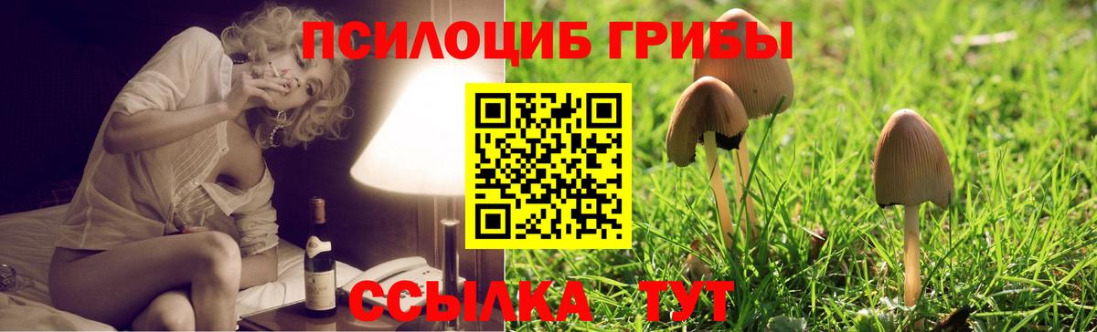 Галлюциногенные грибы MAGIC MUSHROOMS Баксан